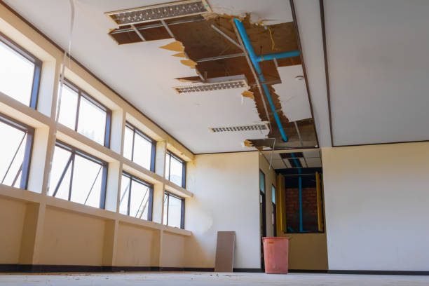 Best Water damage contractors near me  in Telford, PA