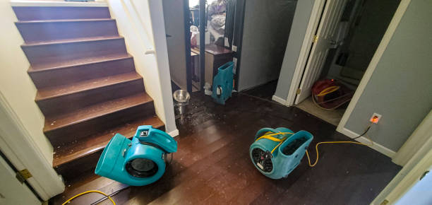 Best Flood restoration services  in Telford, PA