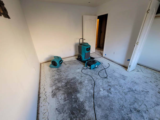 Best Water damage cleanup near me  in Telford, PA