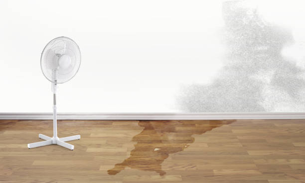 Best Flood restoration services  in Telford, PA
