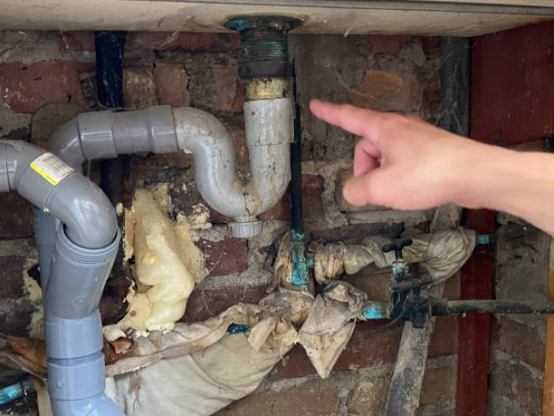 Best Flood damage cleanup  in Telford, PA