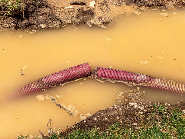 Best Professional water damage repair  in Telford, PA
